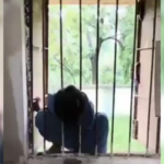 Locked Overnight: 8-Year-Old Girl Trapped in Classroom Window for 18 Hours in Odisha